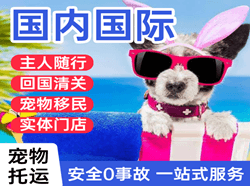 天水麦积山空运国际宠物托运 【国